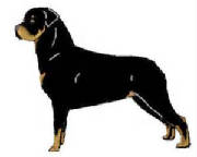 Dogs/RottClipart.jpg